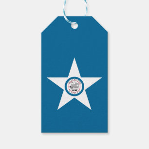 Vlag van de stad Houston, Texas Gift Labels Cadeaulabel