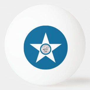 Vlag van de stad Houston, Texas Ping-Pong Bal Pingpongbal