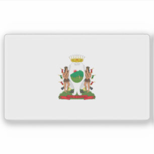 Vlag van de stad Monterrey, Mexico Sticker