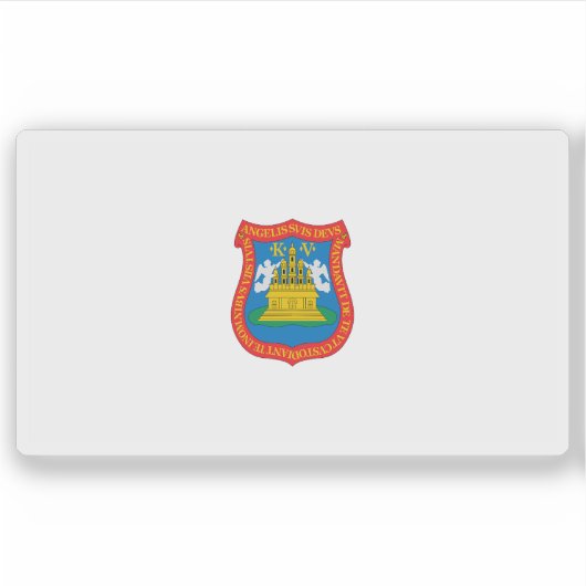 Vlag van de stad Puebla de Zaragoza, Mexico Sticker (Voorkant)