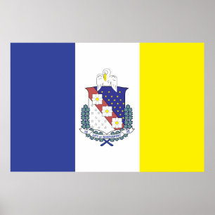 vlag van de stad Shopenbaarport Poster