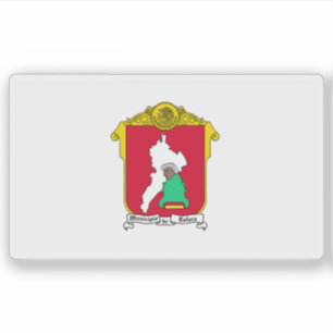 Vlag van de stad Toluca de Lerdo, Mexico Sticker