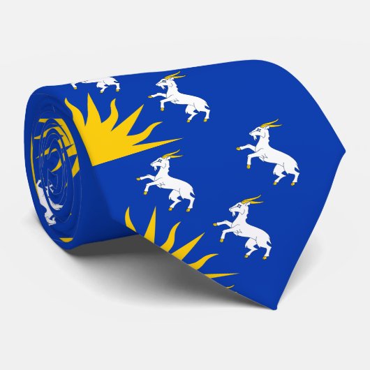 Vlag van de Stropdas Merionethshire (Opgerold)