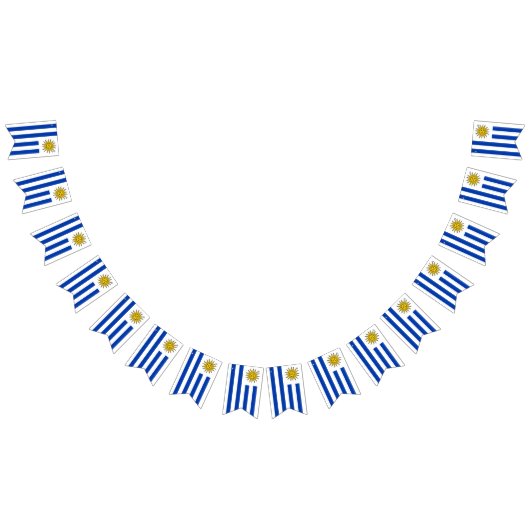 Vlag van de Uruguay Vlaggetjes (Alle)