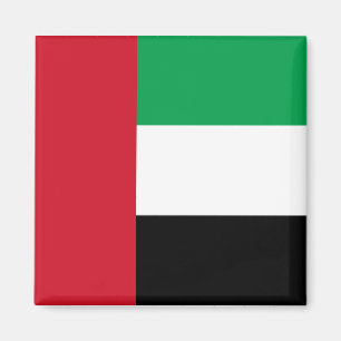 Vlag van de Verenigde Arabische Emiraten Magneet