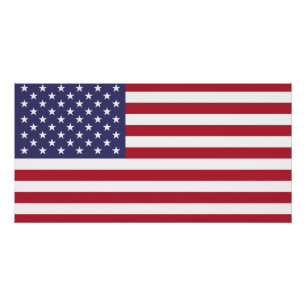 Vlag van de Verenigde Staten Perfect Poster