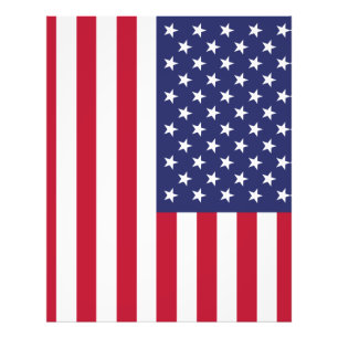 Vlag van de Verenigde Staten van Amerika Foto Afdruk