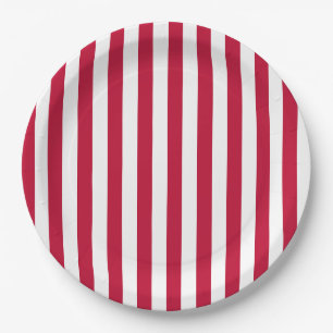 Vlag van de VS Thema Rode en Witte Strepen Patroon Papieren Bordje