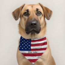 Vlag van de VS vintage Amerika patriottische aange