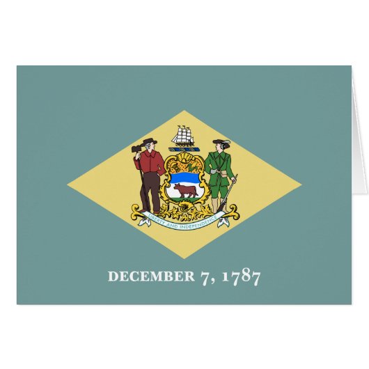 Vlag van Delaware (Voorkant Horizontaal)