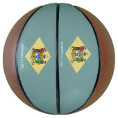 Vlag van Delaware Basketbal (Verticaal)