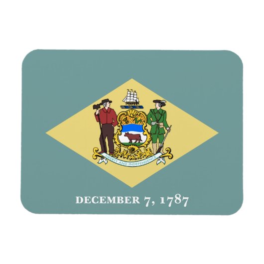 Vlag van Delaware Magneet (Horizontaal)