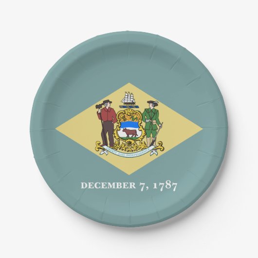 Vlag van Delaware Papieren Bordje (Voorkant)