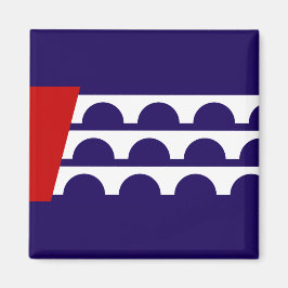 Vlag van Des Moines (Iowa City) Magneet