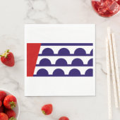 Vlag van Des Moines (Iowa City) Servet (Insitu)