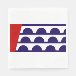 Vlag van Des Moines (Iowa City) Servet