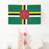 vlag van Dominica Spandoek (Insitu)