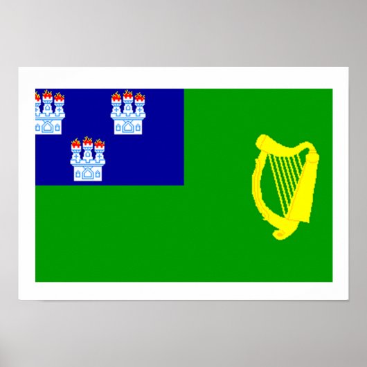 Vlag van Dublin Poster (Voorkant)