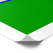 Vlag van Dublin Poster (Hoek)