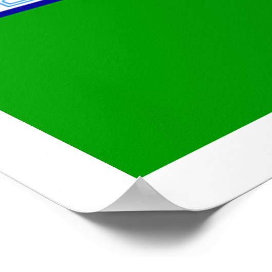 Vlag van Dublin Poster (Hoek)