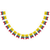 Vlag van Ecuador Vlaggetjes (Alle)