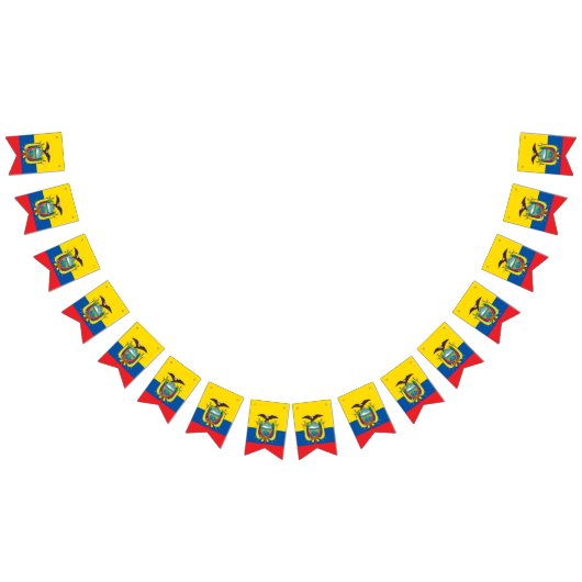 Vlag van Ecuador Vlaggetjes (Alle)