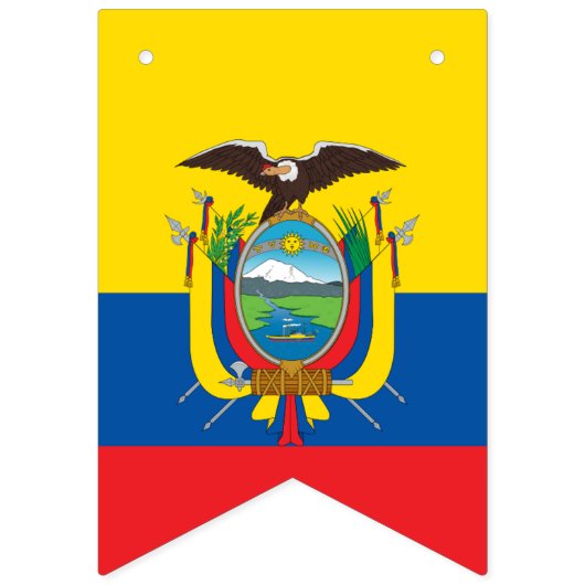 Vlag van Ecuador Vlaggetjes (Eerste vlag)