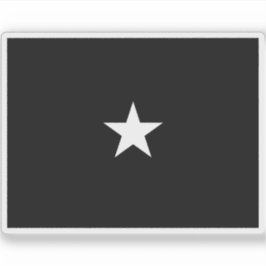 Vlag van een brigadegeneraal van de Amerikaanse Sp Sticker