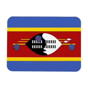 Vlag van Eswatini Magneet