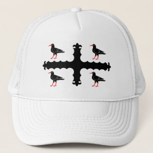 Vlag van Flintshire Headsweats Pet