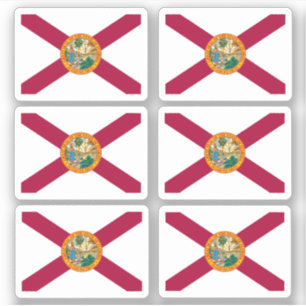 Vlag van Florida, Amerikaanse vlag Sticker