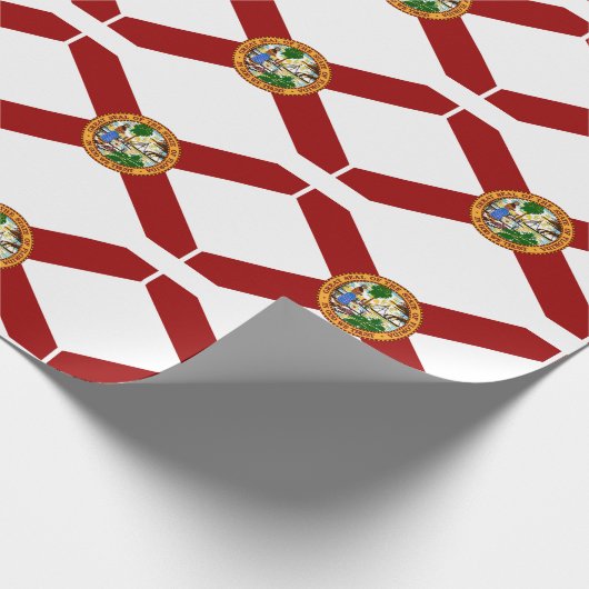 vlag van Florida Cadeaupapier (Hoek)