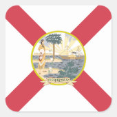 Vlag van Florida: De Sunshine State van de Floridi Vierkante Sticker (Voorkant)