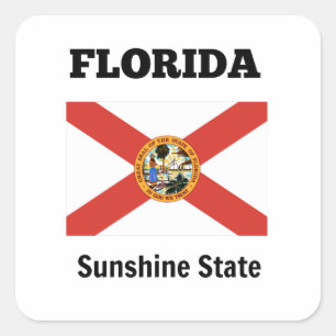 Vlag van Florida en staatsmotto Vierkante Sticker