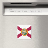 vlag van Florida Magneet (Insitu (Vaatwasser))