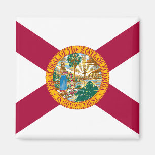 Vlag van Florida Magneet