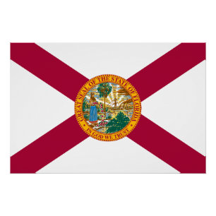 Vlag van Florida Perfect Poster