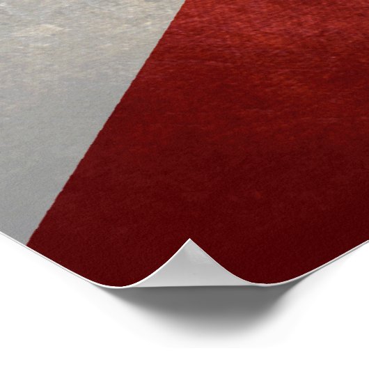 Vlag van Florida Poster (Hoek)