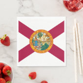 Vlag van Florida Servet (Insitu)