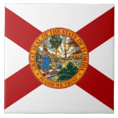 Vlag van Florida Tegeltje (Voorkant)