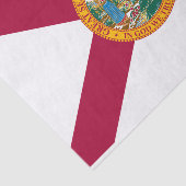 Vlag van Florida Tissuepapier (Detail)