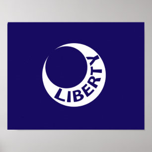 Vlag van Fort Moultrie, South Carolina Poster