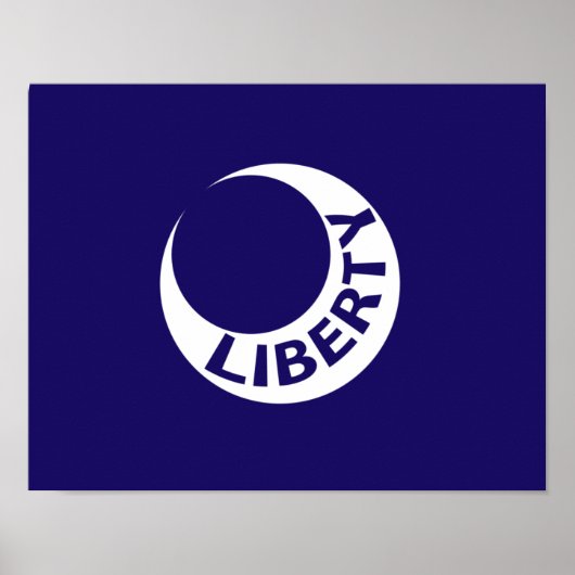 Vlag van Fort Moultrie, South Carolina Poster (Voorkant)