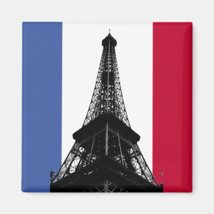 Vlag van France Magnet
