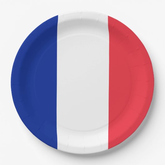 Vlag van Frankrijk Papieren Bordje (Voorkant)