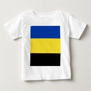 Vlag van Gelderland
