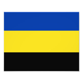 Vlag van Gelderland Foto Afdruk