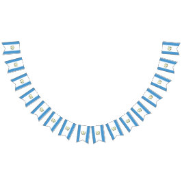 Vlag van Guatemala Vlaggetjes