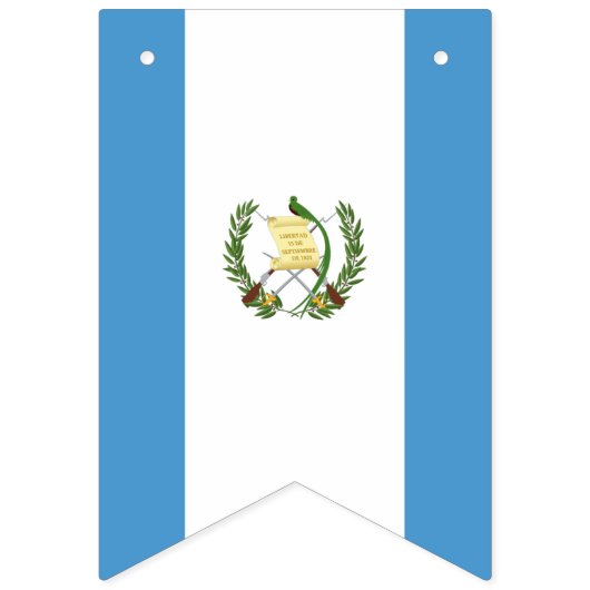 Vlag van Guatemala Vlaggetjes (Derde vlag)