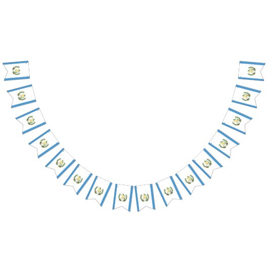 Vlag van Guatemala Vlaggetjes (Alle)